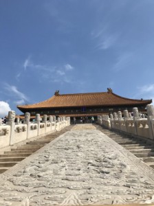 IMG_4530
